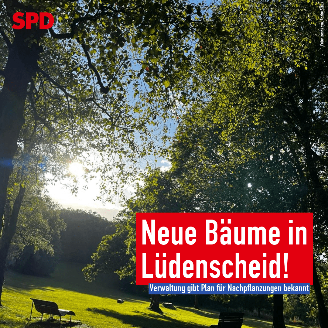 Lüdenscheid bekommt neue Bäume!